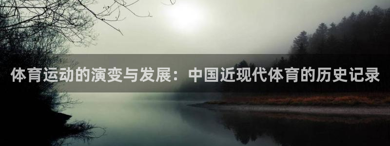 伟德国际