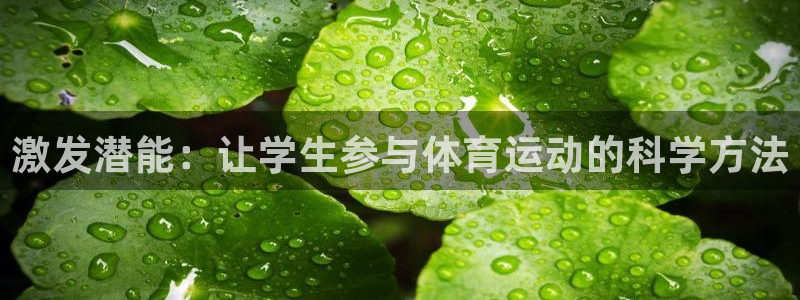 伟德国际集团股票