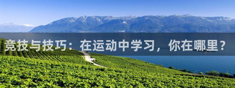 伟德国际体育凯捷平台主管