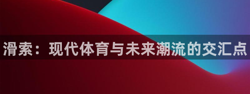 德国伟德国际集团