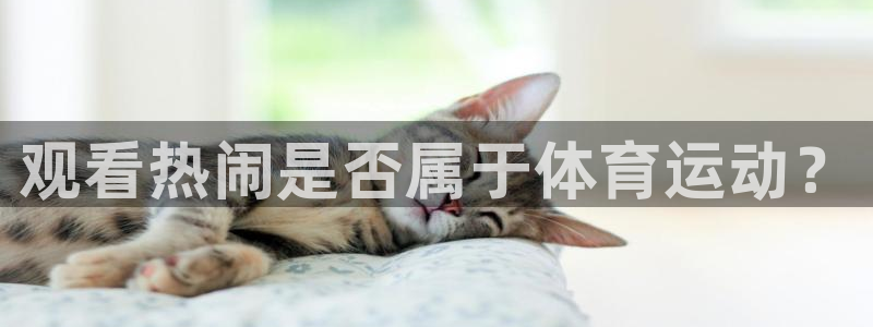 伟德国际体育代理
