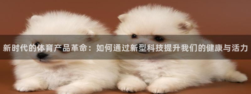 伟德国际3代理