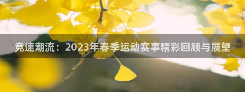 伟德国际体育注册登录入口