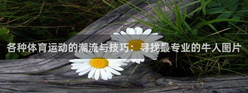 伟德国际4平台