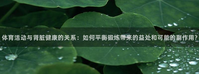 伟德国际招商