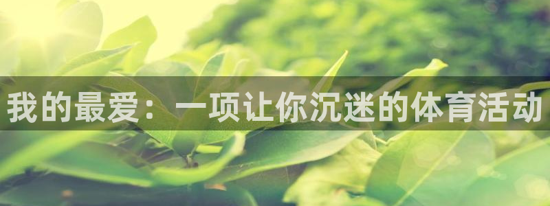 伟德国际体育热门赛事有哪些