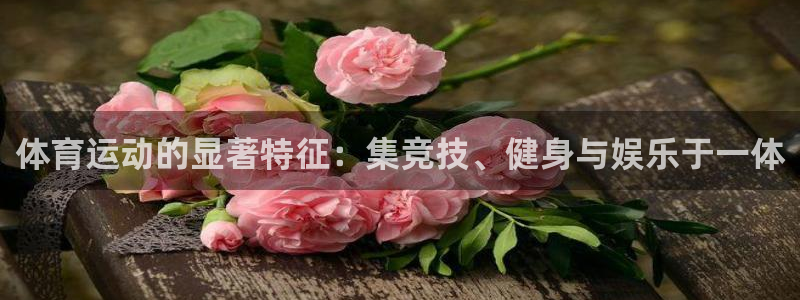 伟德国际4代理