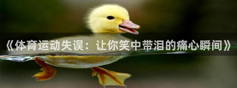 伟德国际平台注册