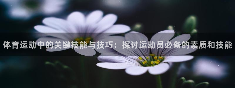 意昂官网