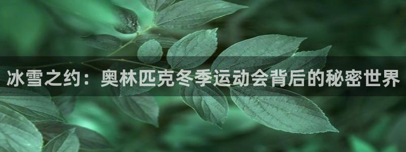 伟德国际2平台注册