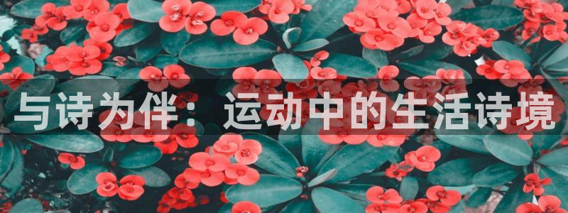 意昂官网