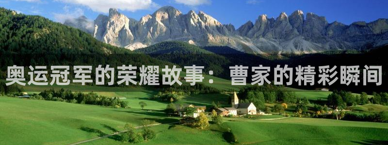 北京意昂科技有限公司