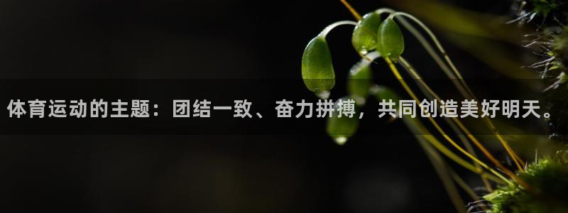 伟德国际体育老板是谁