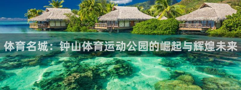 伟德国际体育热门赛事有哪些